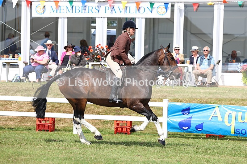 3E7A9983 - Class 5: Rising Star Lightweight/Heavyweight Cobs