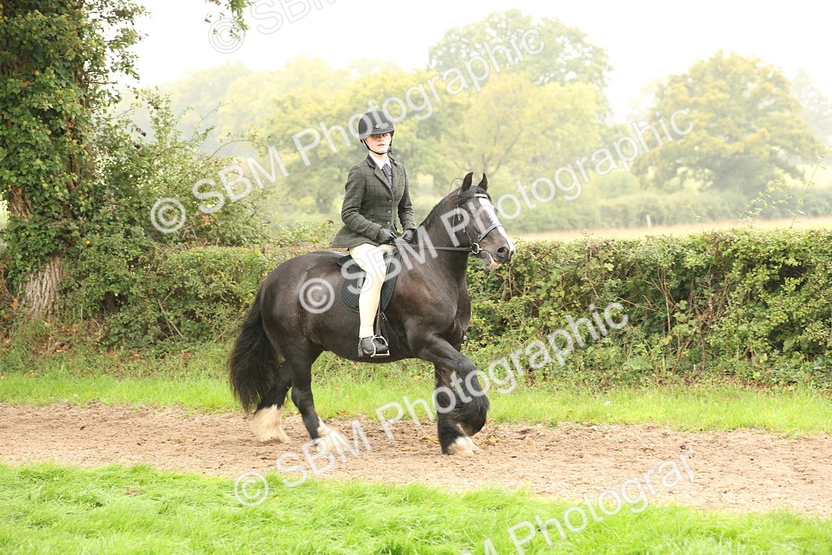 SBM_72707 - S70 - Traditional Cob Ridden