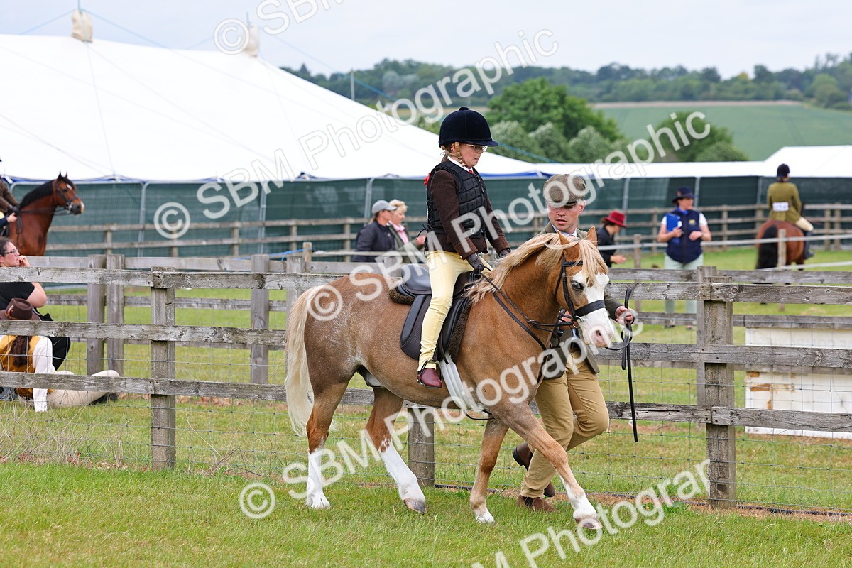 SBM_08101 - Class 42-43 - LIHS BSPS Heritage Working Sports Pony