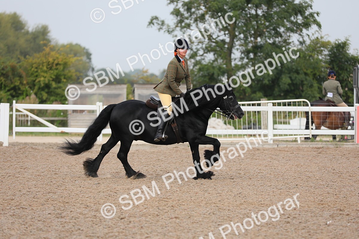 SBM_10017 - Class 302 Ridden M&M -Large Breeds
