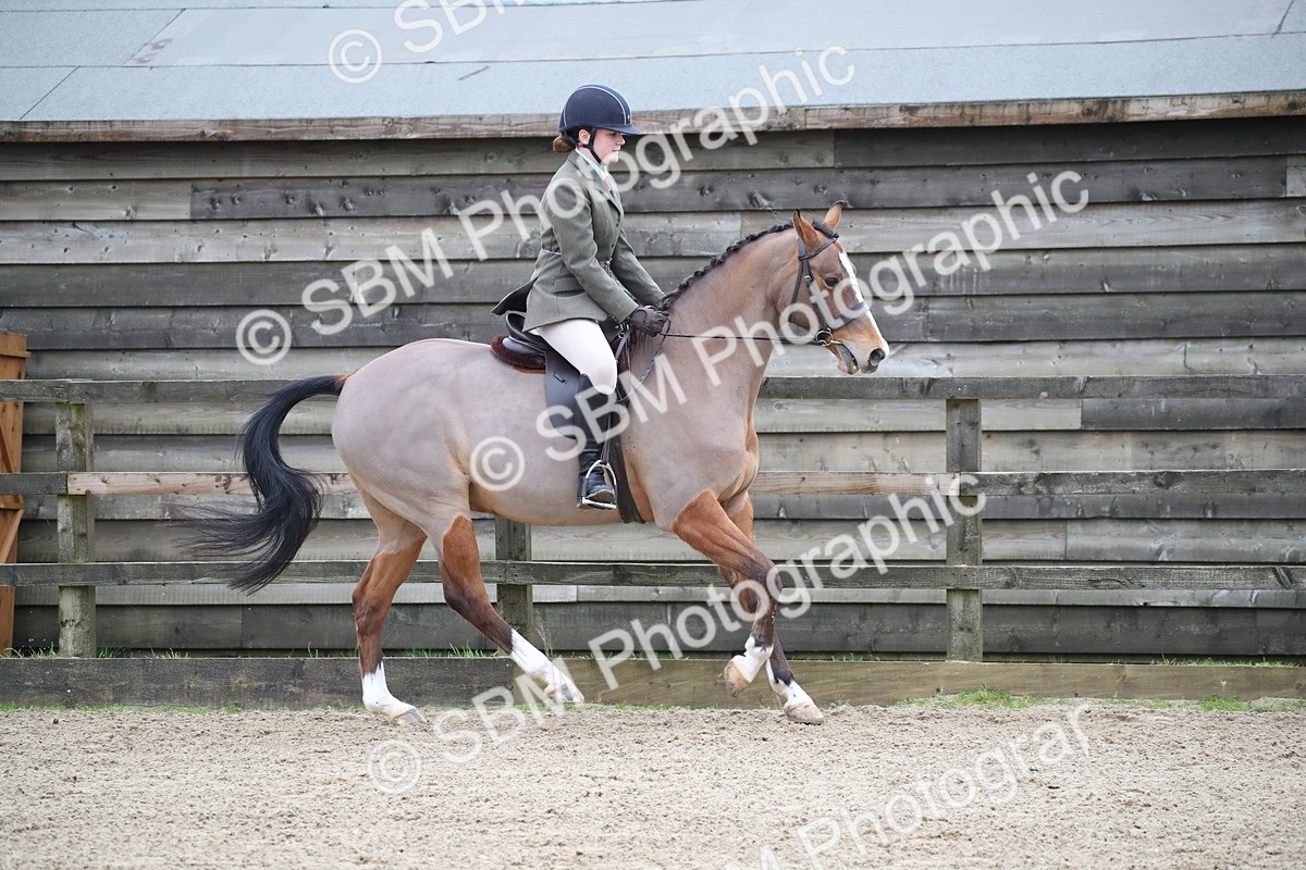 SBM_004736 - Class 5-9 - NPS In Hand-Show Hunter-Intermediate Ridden Inc Ridden Championship