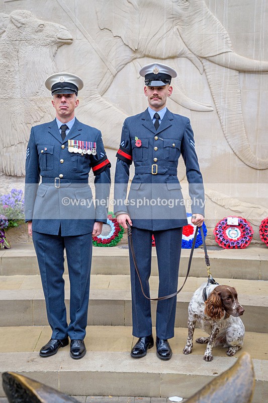 NGP_8307 - 2024 Animals in War Remembrance Gathering