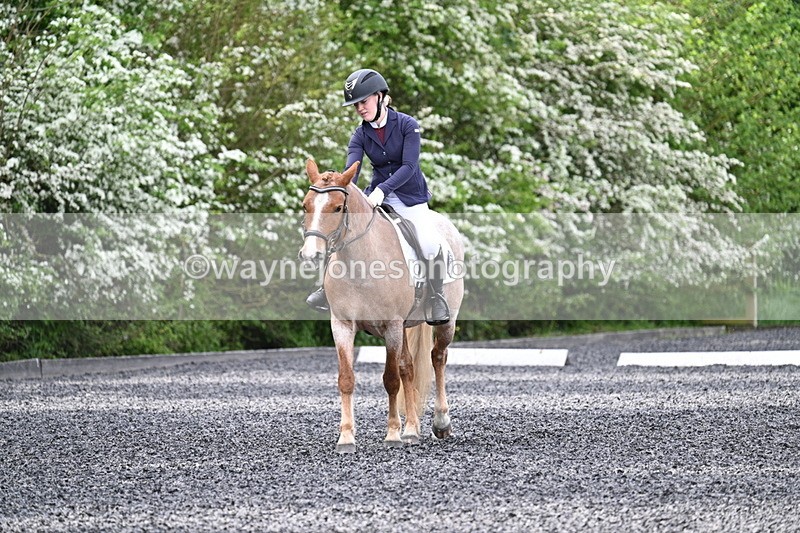 WJ7_8125 - Time 10:11 to 10:27