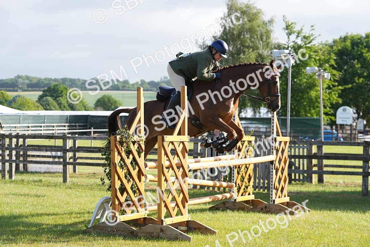 SBM_10517 - Class 97-98 - LIHS BSHA Rising Star Working Show Horse Hunter