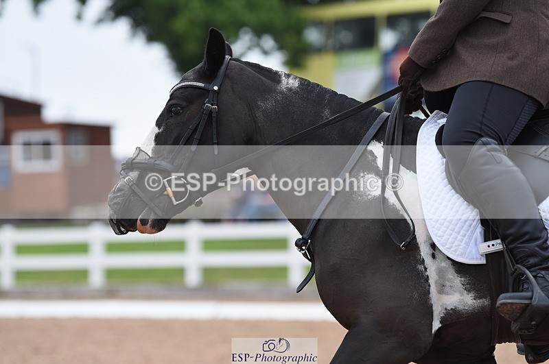 230708A-120930-01670 - Prelim 7