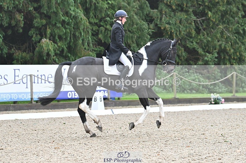 231019-103550-01906 - 101-RICARDO.COLOURS.II-Elizabeth.Wadey-DR