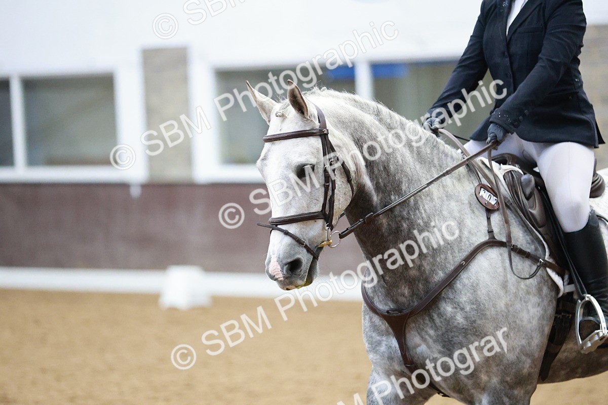 SBM_004321 - Class 2 - Novice 2020