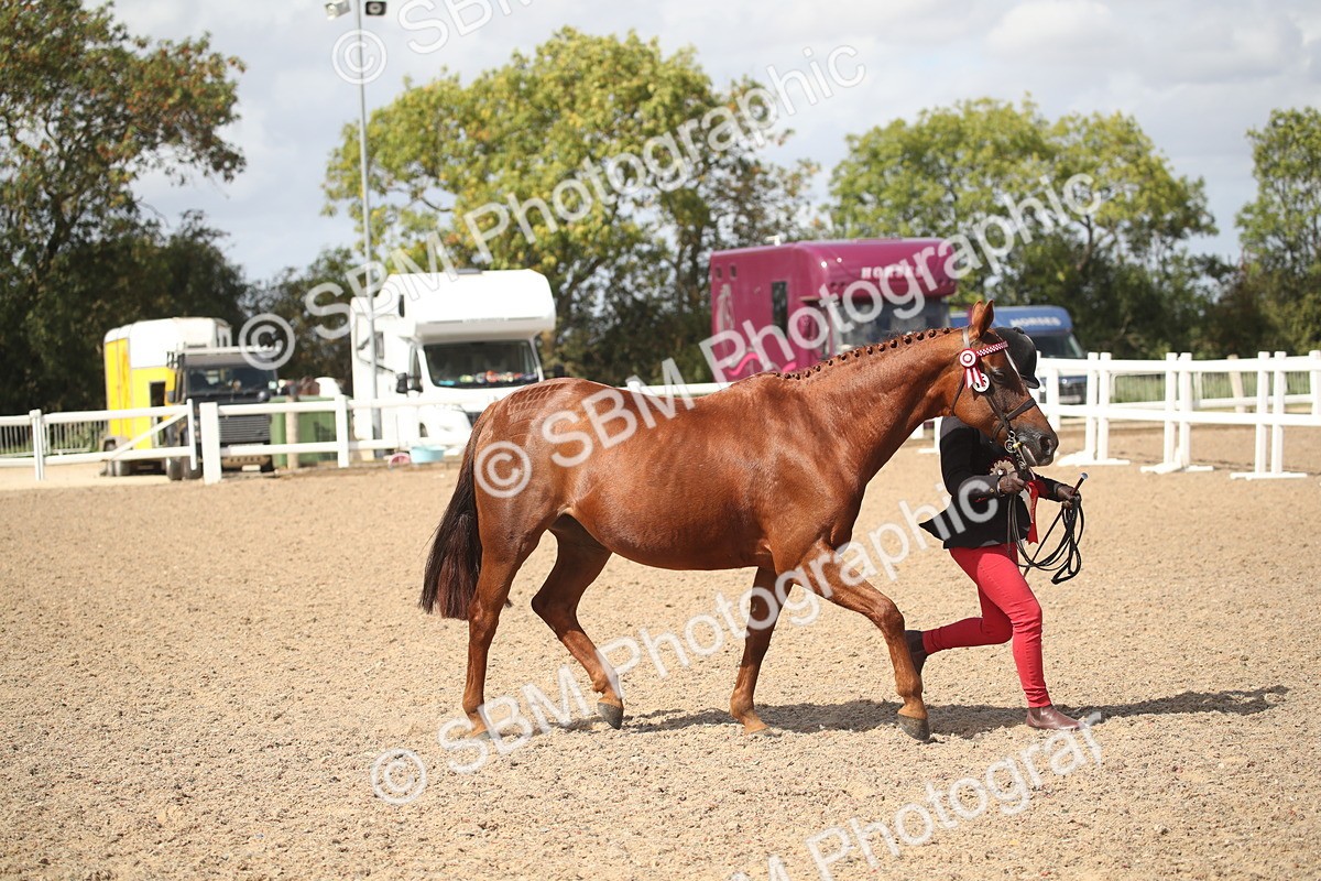 SBM_23177 - Class 606 - 2026 - Area - IH Pre Vet