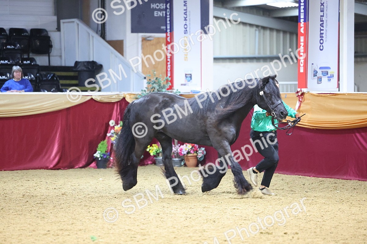 SBM_19585 - Class 901 - Supreme Final - IH Diamond