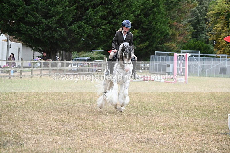 WJ6_9702 - Class 12 Minimus Jumping 45cm