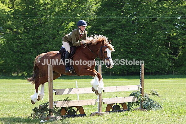IMG_4361 - Working Hunter