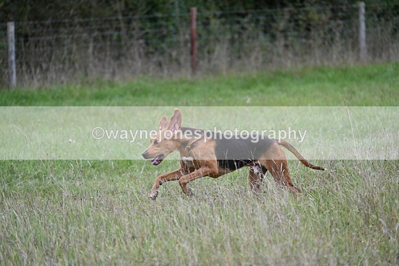 WJ7_3611 - Camera 1 Line 1