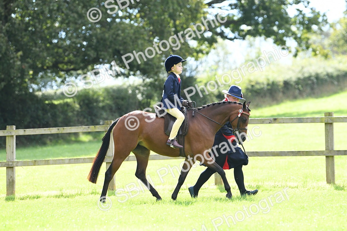 SBM_41169 - S19 - Lead Rein Show & Show Hunter Pony