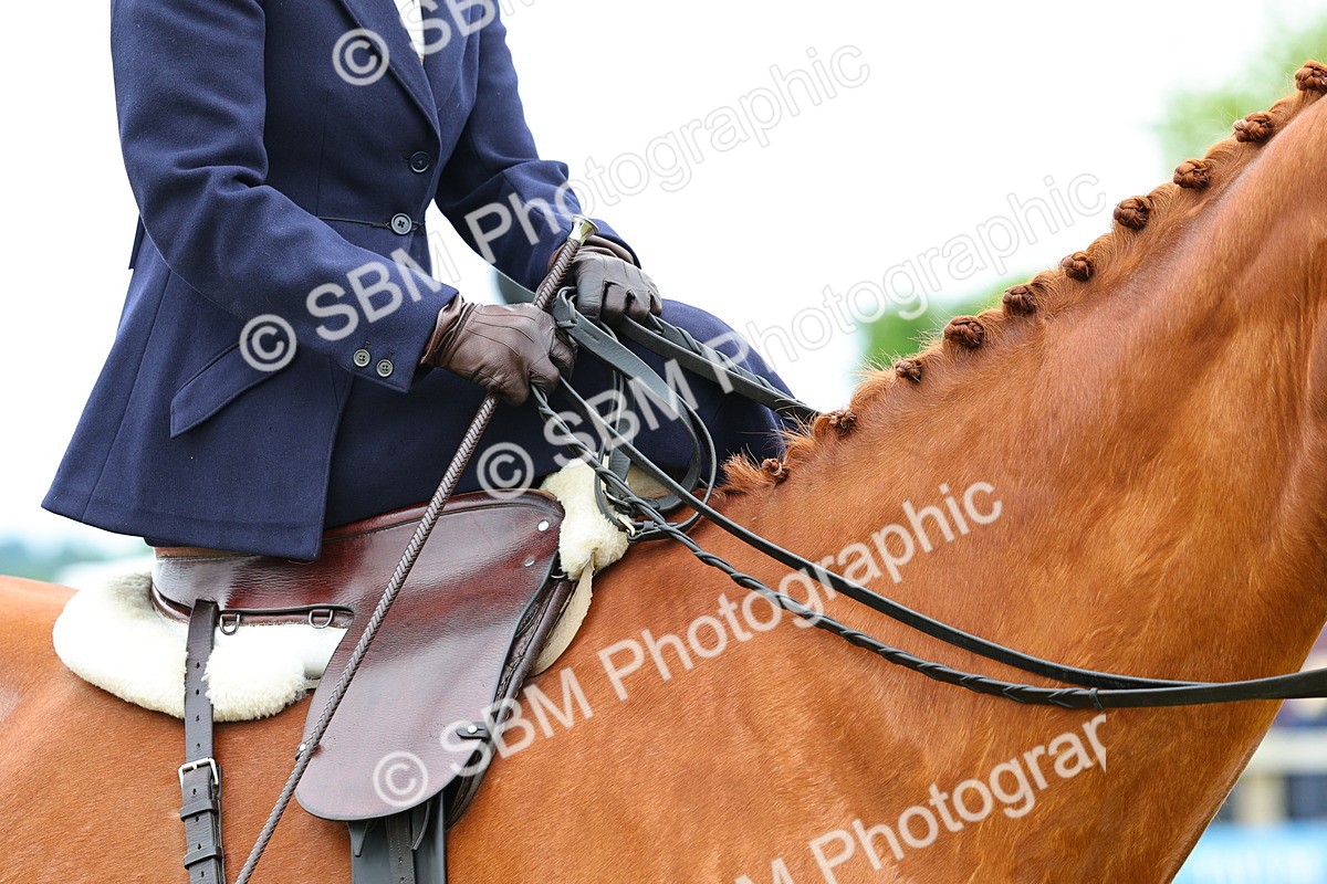 SBM_02770 - Class 9-11 Side Saddle including LIHS Rising Star Ladies Show Horse