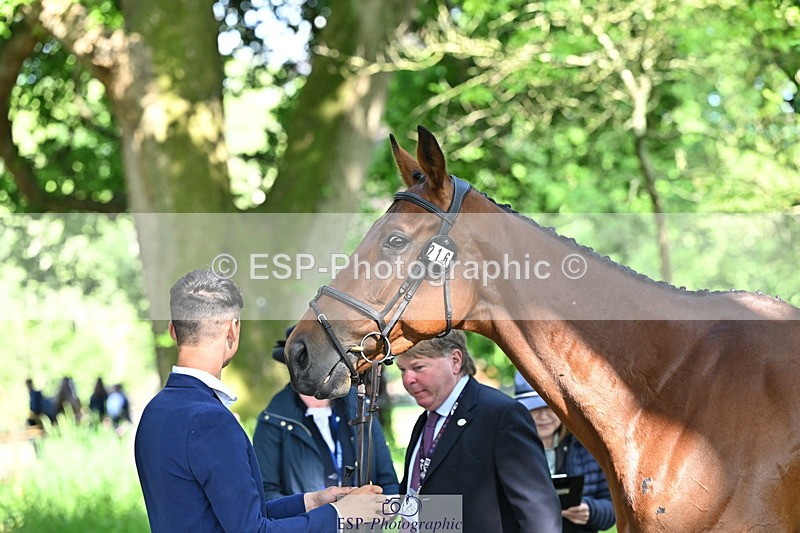 250521A-162056-01079 - C-216-Harrison.Chart-MY.KIND.OF.LADY