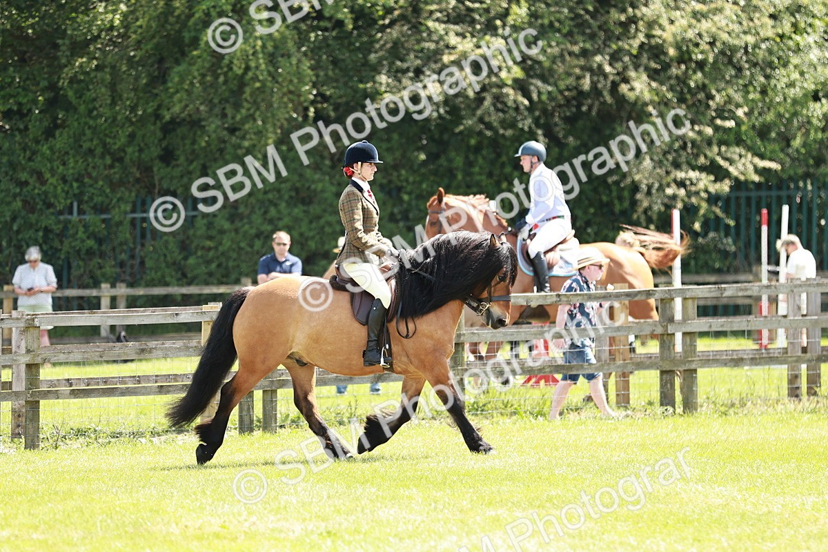 SBM_07037 - Class 26-30 - Mountain and Moorland Ridden