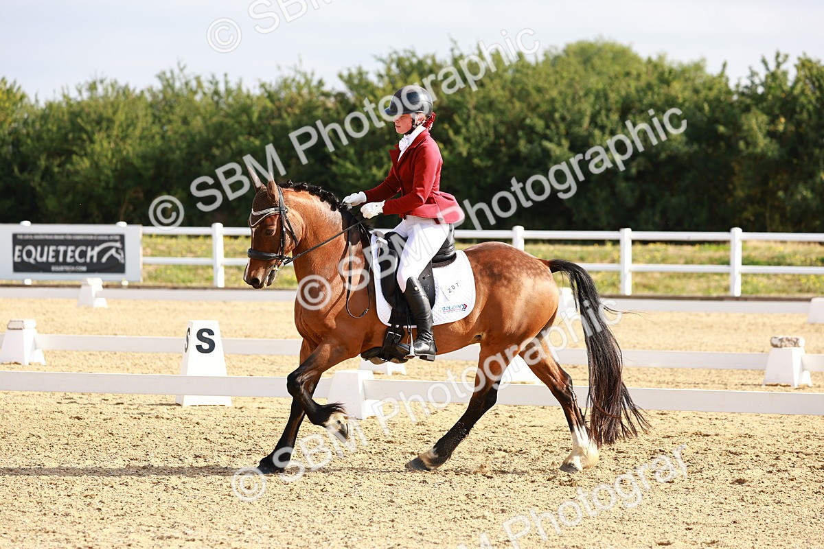 SBM_008195