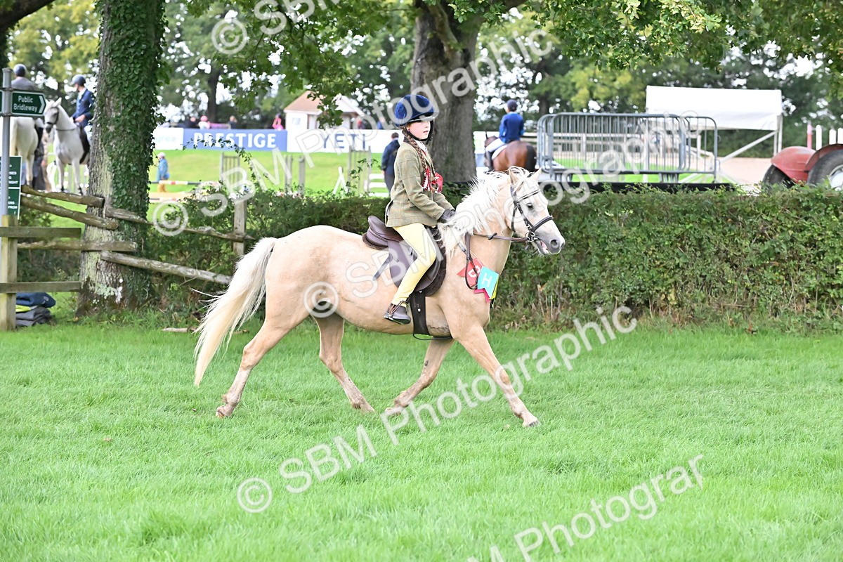 SBM_42913 - S12 - Family Horse & Pony