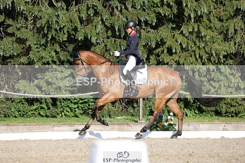 230526-175344-08056 - 182-HARTHILL_FLAMENCO-Izzy_Taylor-WEDTrotUp+DR