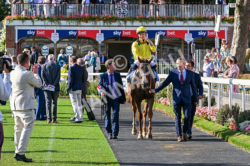 220826-Race 7-Raammee-1939 - Race 7 17.20pm Sky Bet Dav Reid Finale Handicap