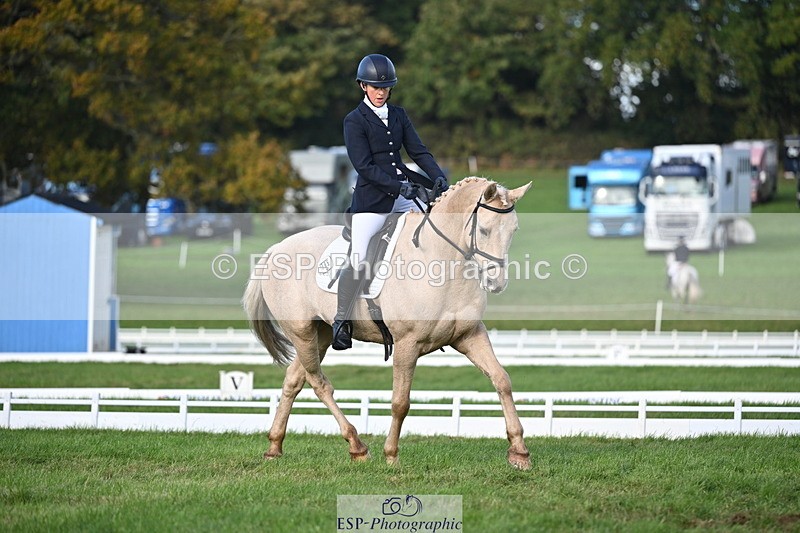 251024A-150903-13970 - E-395-Rolline.OCallaghan