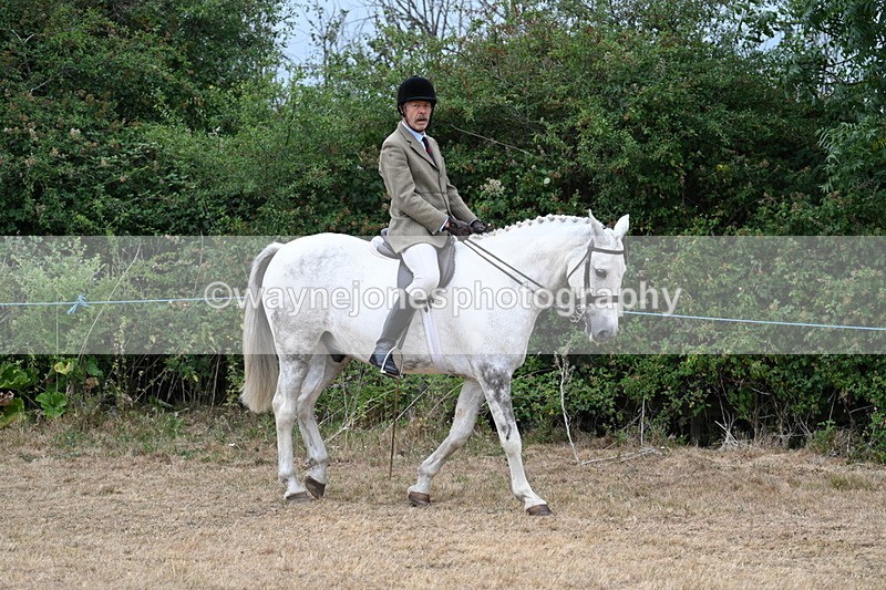 WJ7_0738 - Class 7 Riding Club Show Horse