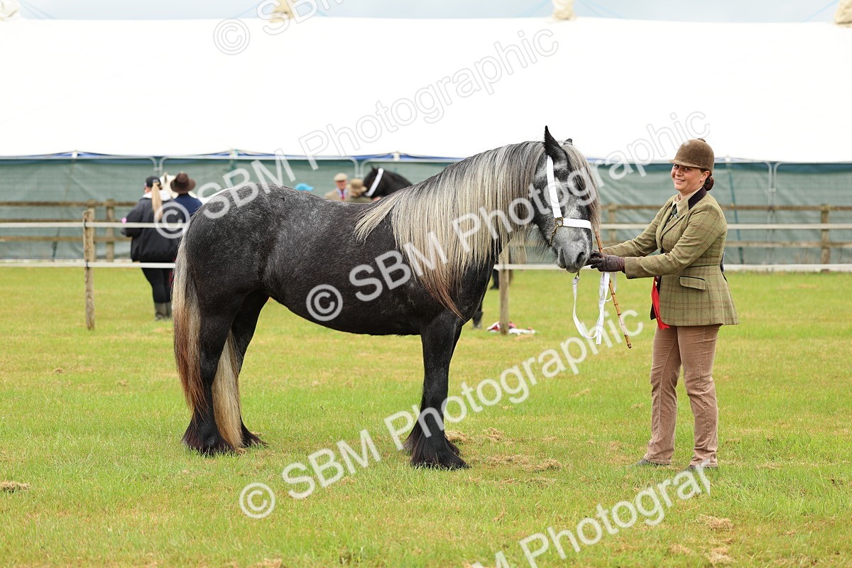 SBM_00431 - Class 58-67 - M&M Non Welsh Pony In hand