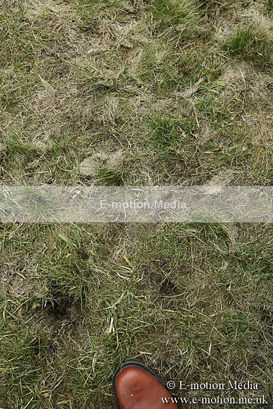 PtP 180218 1023 - Combined Services Point-to-Point Larkhill 18/02/18