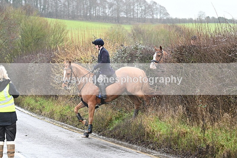 WJ7_6949 - Crossing A Camera