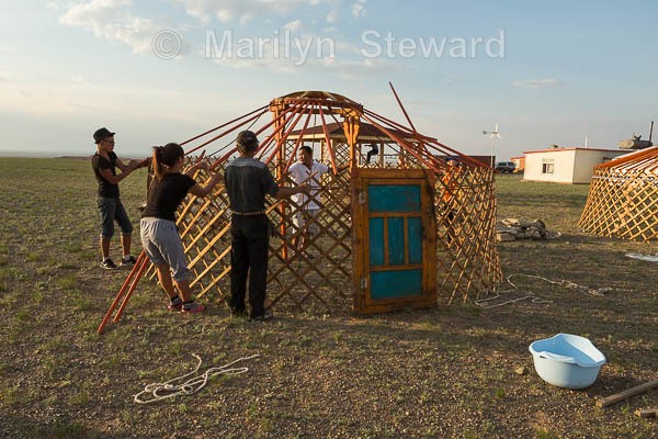 Ger making #1 - Mongolia