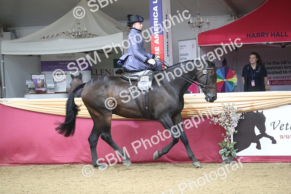 SBM_11544 - Class 105 Ridden Costume- Side Saddle