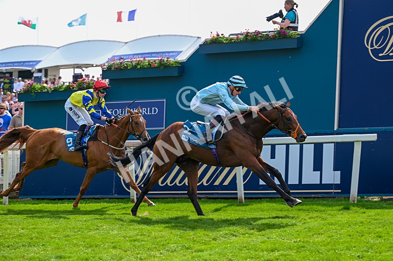230526-Race 6-Pearl River-7762 - Race 6 16.25pm Royal Yorkshire Regiment Handicap