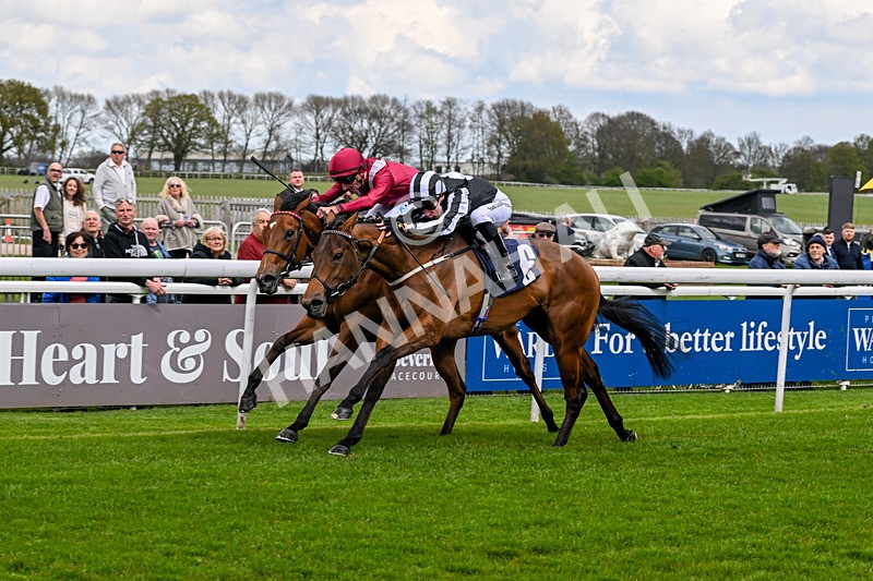 150426-Race 1-Thankfully-4661 - Race 1