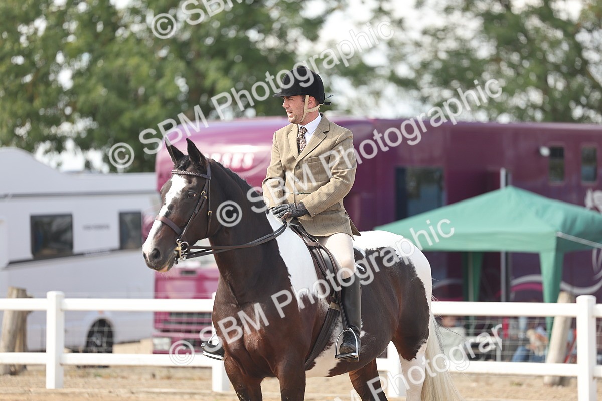 SBM_14813 - Class 308 - Ridden Coloured Horse