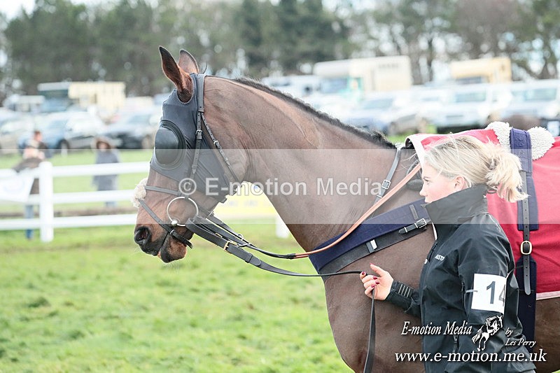 PtP 141225  2215 - New Forest Hounds PtP Larkhill 14/12/25