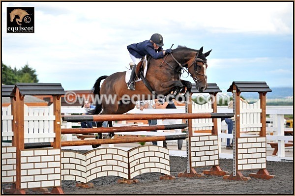 EQUISCOT 5591  LINDA JAMIESON JJS ONE FINE DAY - 2012 PRIZEWINNERS INDIVIDUAL PICS