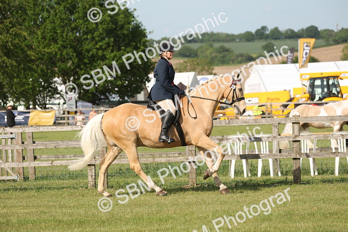 SBM_10248 - Class 33-38 - SSADL RIHS Qualifiers