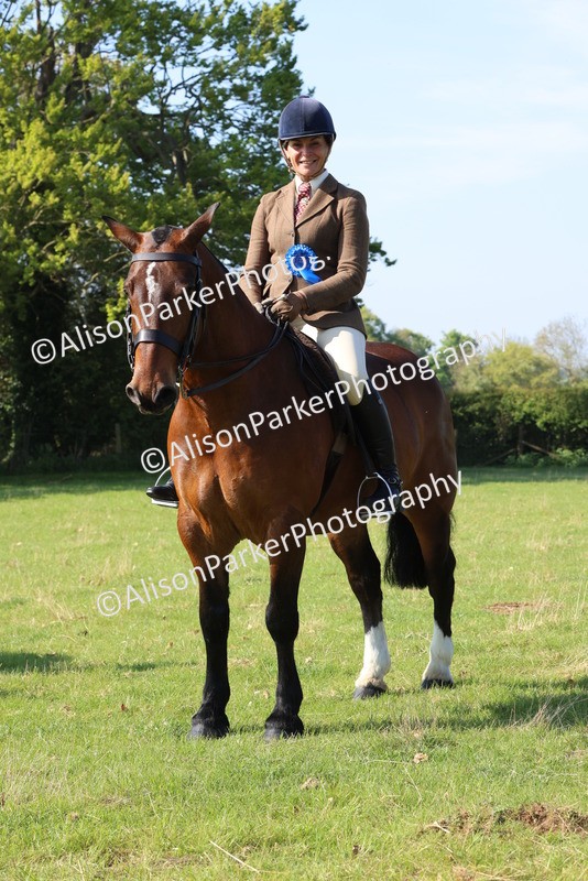 20250427-0581 - Class 17 - Novice Showing