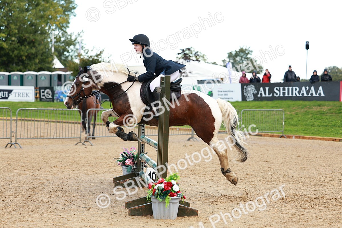 SBM_37753 - J39 - Senior Horse & Pony 85cm Championship