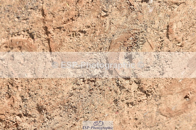 240303A-143302-00771 - Presentations