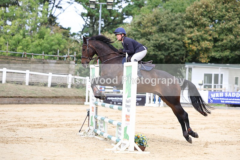 3E7A2275 - Class 4: Senior British Novice/90cm open