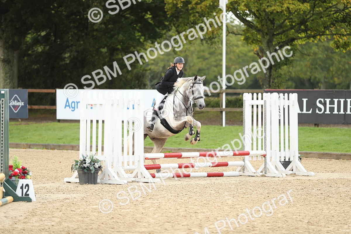 SBM_34179 - J60 Clear Round 50cm