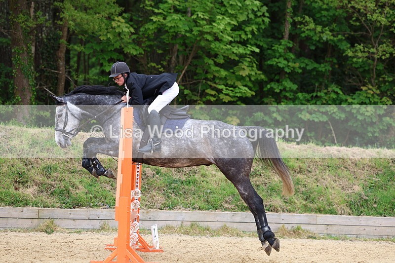 3E7A6192 - Class 4: Senior British Novice/90cm open
