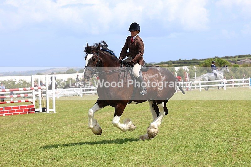 3E7A2898 - Class 13: Heavy Horse Ridden