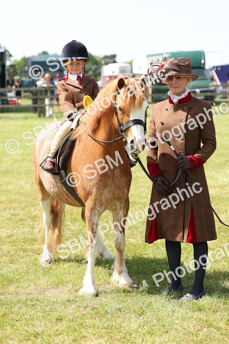 SBM_05278 - Class 24-25 - Mountain & Moorland In Hand Lead Rein and First Ridden