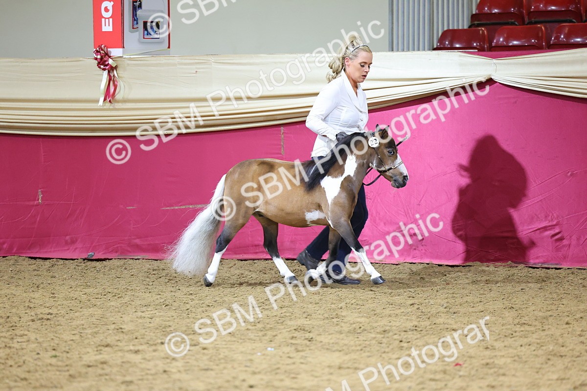 SBM_18674 - Class D IH Pony Champ