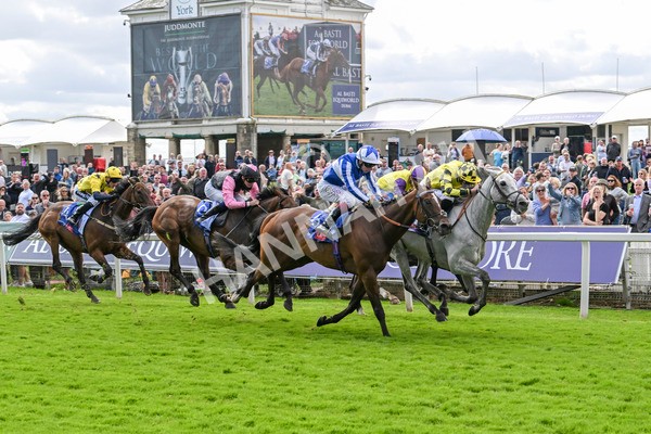 230824-Race 1-Shadow Dance-8720 - Race 1 1.50pm Sky Bet Handicap
