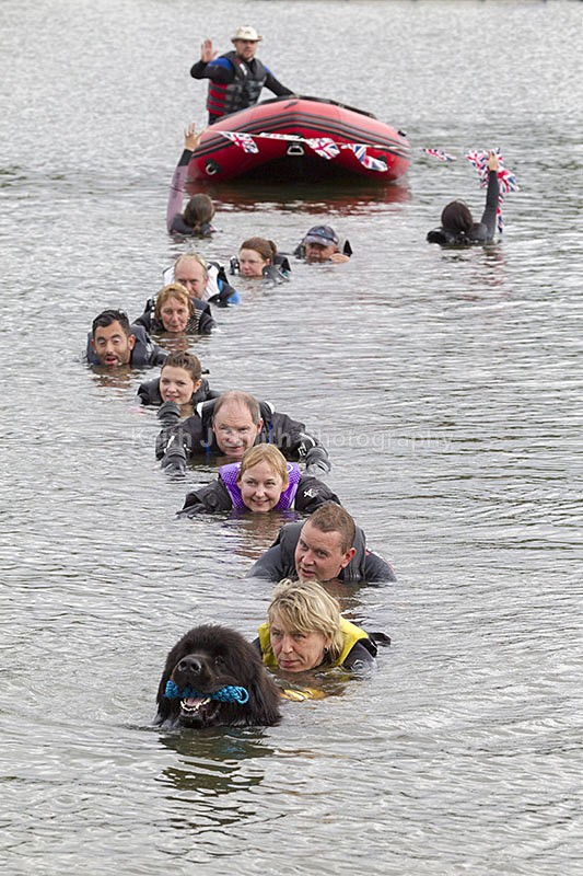 0KJS5722 - Working Dogs