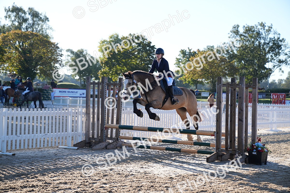 SBM_14046 - J59 - Clear Round - 65cm