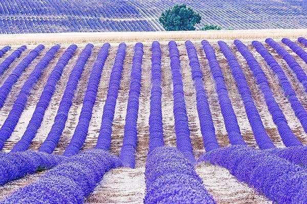  - France